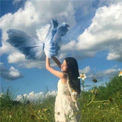 草民县令